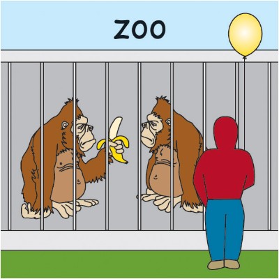 zoo 2.jpg