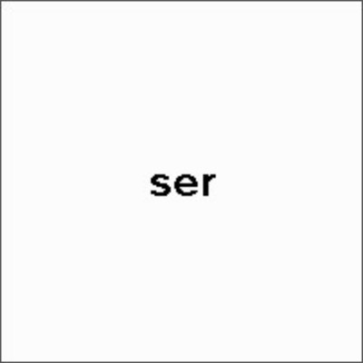 SPC (90).jpg