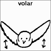 SPC (98).jpg