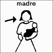 SPC (14).jpg
