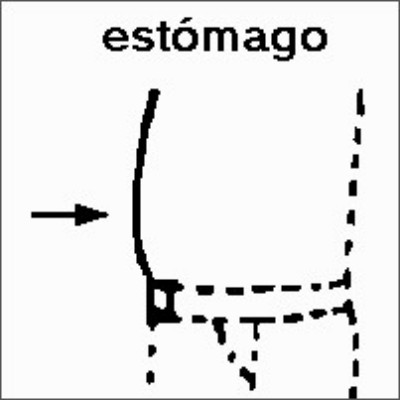 SPC (261).jpg