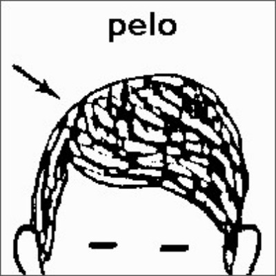 SPC (267).jpg