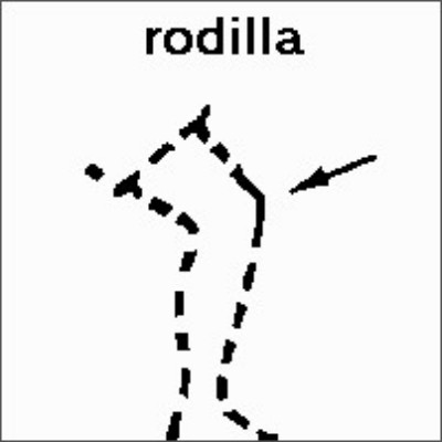 SPC (270).jpg