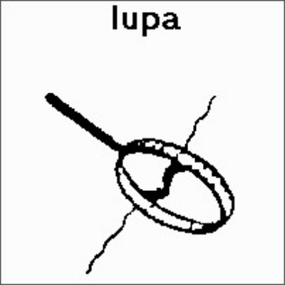 SPC (276).jpg