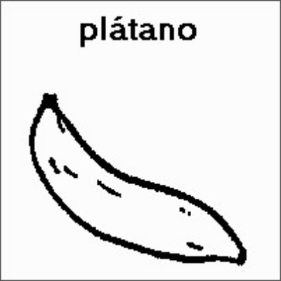 SPC (200).jpg