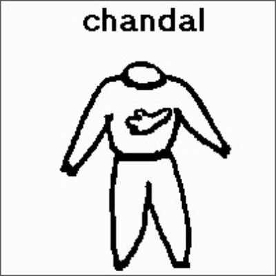 SPC (230).jpg