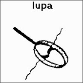 SPC (276).jpg