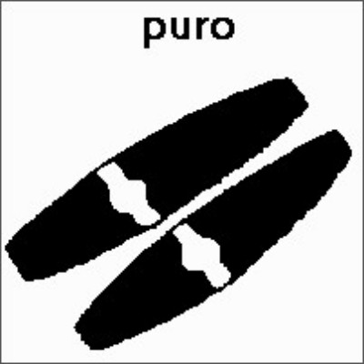 SPC (402).jpg