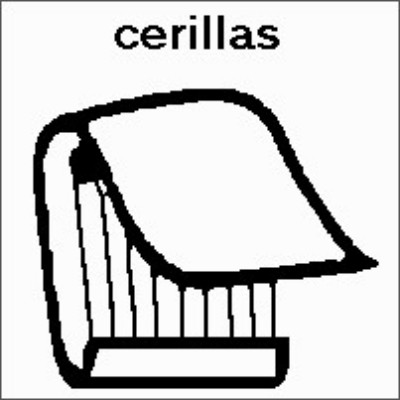 SPC (362).jpg