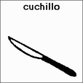 SPC (300).jpg