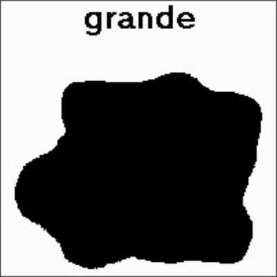 SPC (571).jpg