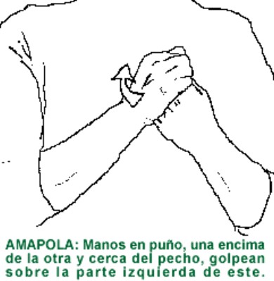 AMAPOLA.gif