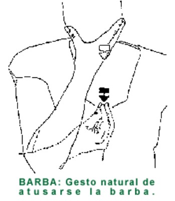 BARBA.gif