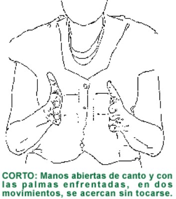 CORTO.gif