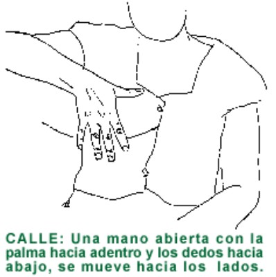 CALLE.gif