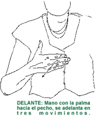 DELANTE.gif