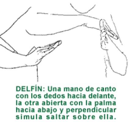 DELFIN.gif