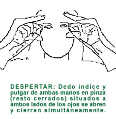 DESPERTAR.gif
