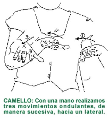 CAMELLO.gif