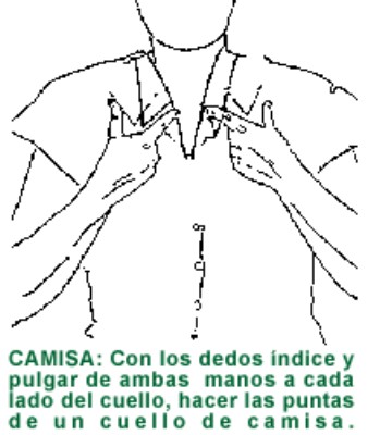 CAMISA.gif