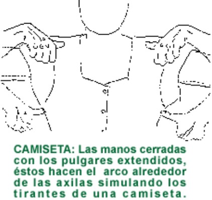 CAMISETA.gif