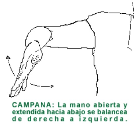CAMPANA.gif