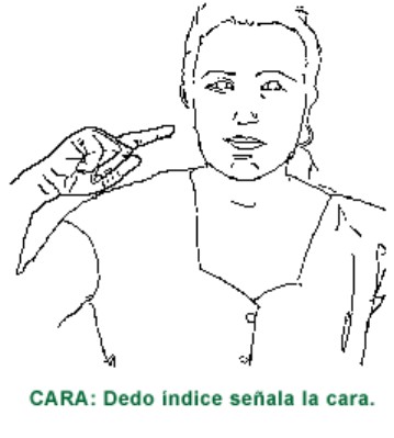 CARA.gif