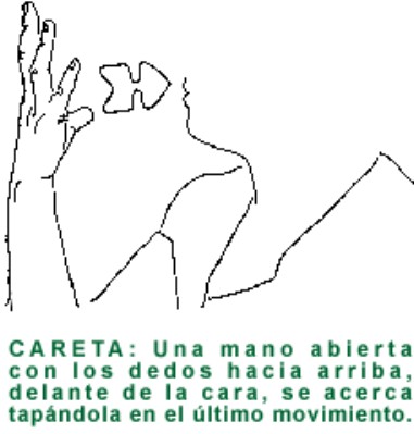 CARETA.gif