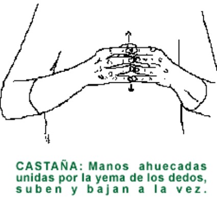 CASTAÑA.gif