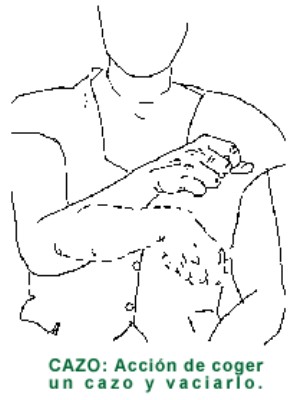 CAZO.gif