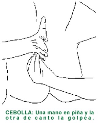 CEBOLLA.gif