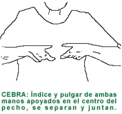 CEBRA.gif