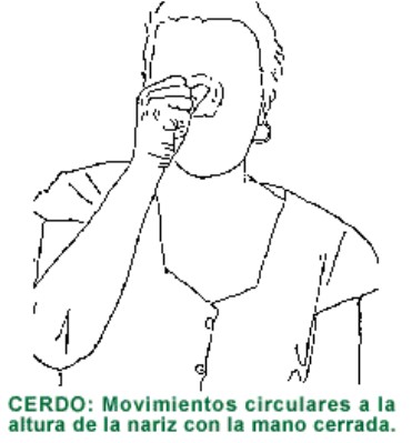 CERDO.gif
