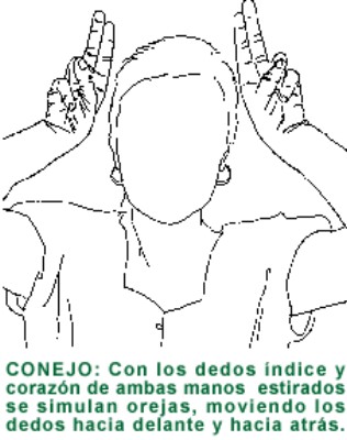 CONEJO.gif