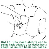 CALLE.gif