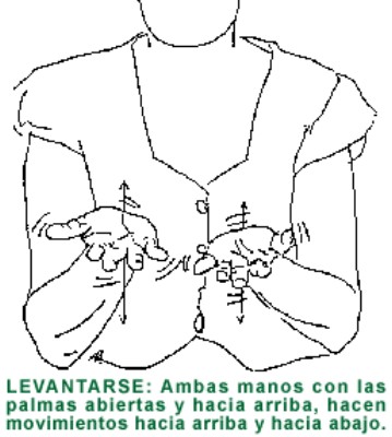 LEVANTARSE.gif