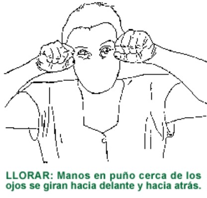 LLORAR.gif