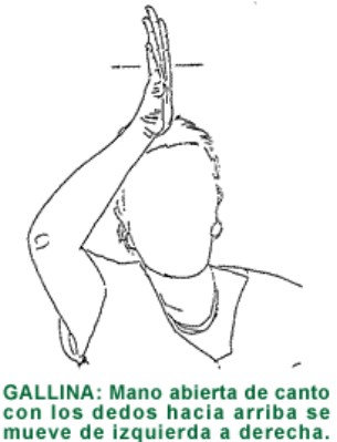 GALLINA.gif