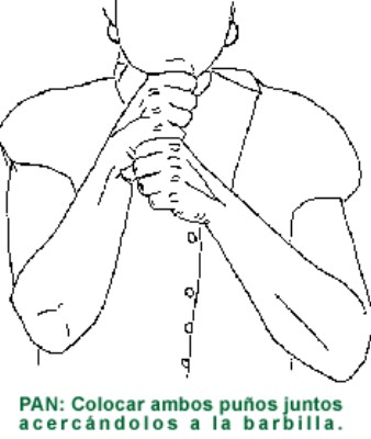 PAN.gif