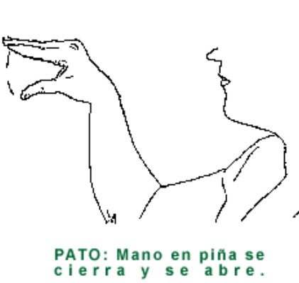 PATO.gif