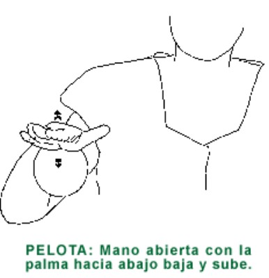 PELOTA.gif