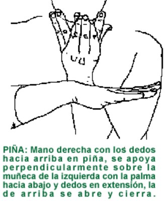 PIÑA.gif