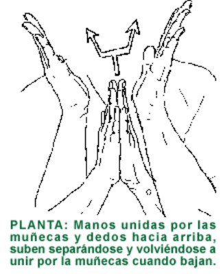 PLANTA.gif