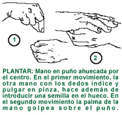 PLANTAR.gif