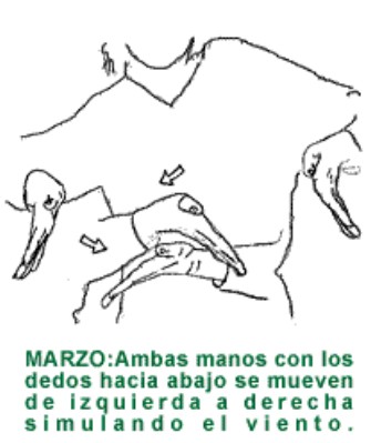 MARZO.gif