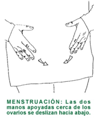 MENSTRUACION.gif