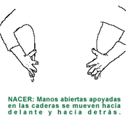 NACER.gif