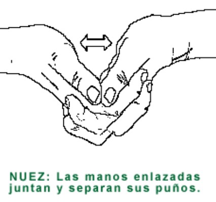 NUEZ.gif