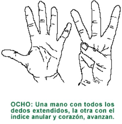 OCHO.gif