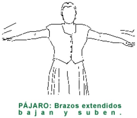 PAJARO.gif